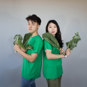 Team Page: Green Team: Suyeon Hwang & Ryan Yoo